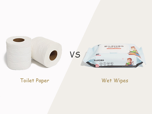 toilet paper vs wet wipes