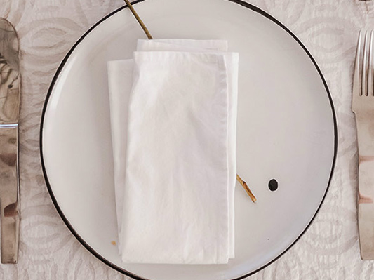 paper napkin