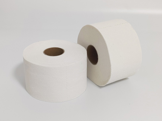 Recycled Toilet Paper